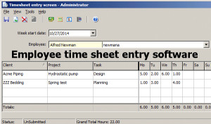 CyberMatrix Timesheets: Employee Time Sheet Entry Software