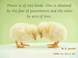 Posted by Mahatma Gandhi Forum at 8:06 AM No comments: