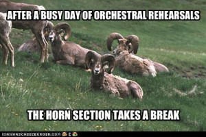 Here are a few horn-related memes – not created by yours truly ...