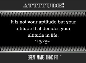 It is not your aptitude but your attitude that decides your altitude ...