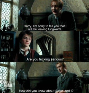 Harry Potter Stuff That Happens to be Funny