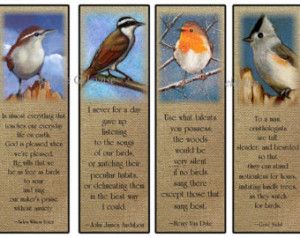 ... Birds, Burlap, Original Art, Bird Watchers, Bird Watchers, Quotes