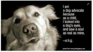 ... -dog-quotes1-lucky-dog-rescue-inc---our-adoptable-dogs-eb2xez2i.jpg