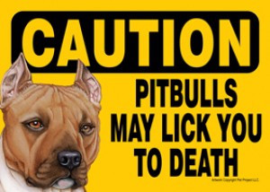 Pitbull Quotes & Sayings