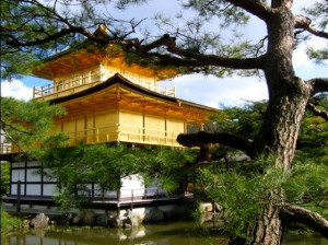153796-kinkakuji---golden-shrine---kyoto-kyoto-japan.jpg