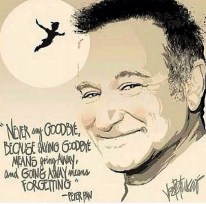 Robin Williams goodbye
