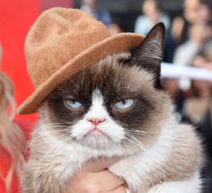 Grumpy Cat to star in new Lifetime Christmas film