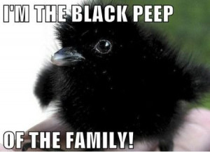 Funniest Memes Game Thrones...