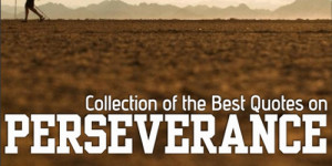29-Good-Perseverance-Quotes.jpg