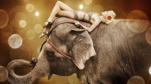... new film Water For Elephants . Supplied: Fox Source: Supplied