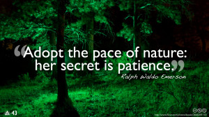 Adopt the pace of nature: her secret is patience.– Ralph Waldo ...