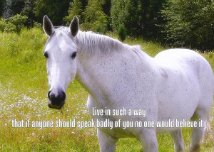 Grazing In The Grass Quote Photograph