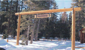 Log Driveway Entrances