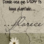 Faith Quotes Hope | Living Quotes