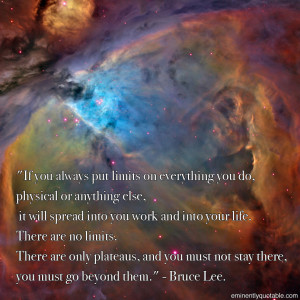 BLOG - Funny Plant Sayings