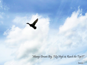 ... up always dream big fly high and reach the top my quote of the day