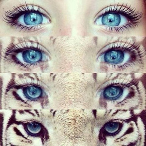 Tumblr Photography Blue Eyes