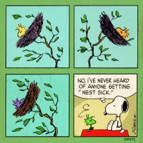 Woodstock's nest sick