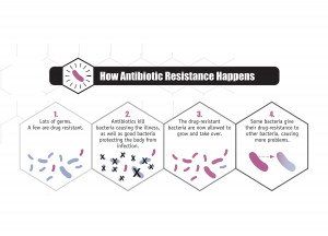 How Antibiotic Resistance Happens