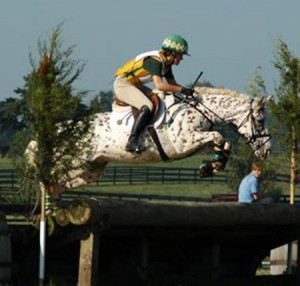 Find me a picture of...