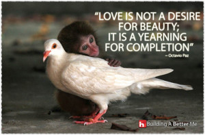 Physical Attraction Quotes Picture