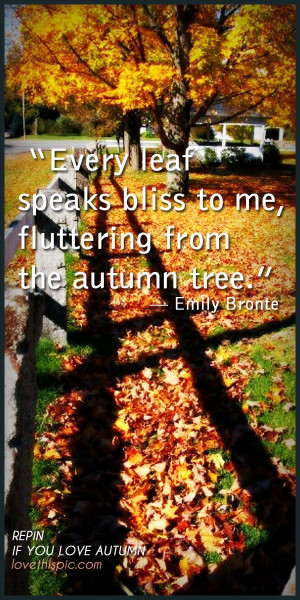 quotes quote tree autumn fall leaf pinterest pinterest quotes autumn ...