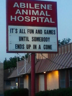 Animal Hospital Funny Sign Picture Photo Image Joke - It's all fun and ...