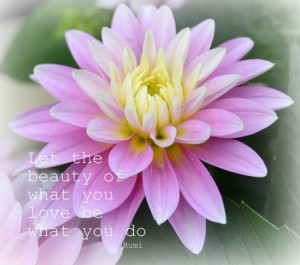Patricia N > Dahlia Beauty Rumi Quote Floral