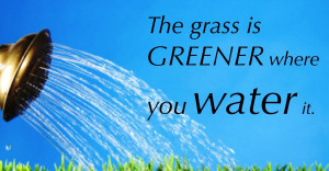The-grass-is-greener-quote1_1200x627.jpg