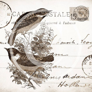 Vintage printable: Vintage Postcards, Birds 12, Postcards Birds ...