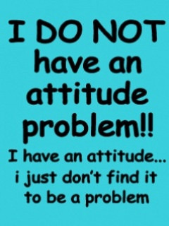 Do Not Have an Attitude Problem!! ~ Attitude Quote
