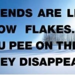 funny friend spring quotes party nature spring quotes lazy person