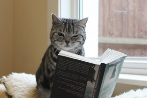 d4afc01f_Cat-Reading-Book-300x200.jpeg#cat%20reading%20%20300x200