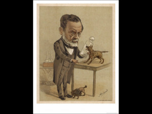 Louis Pasteur French Chemist