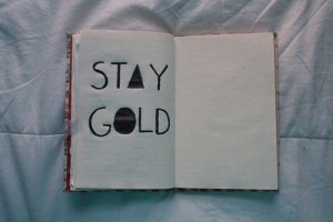 stay gold Ponyboy, stay gold.