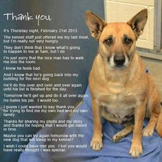 Dog Quotes and Sayings