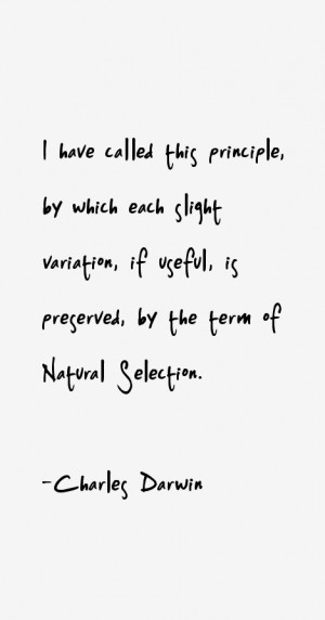 have called this principle by which each slight variation if useful