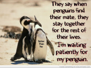 Cute Penguin Love Quotes breakup couples cute