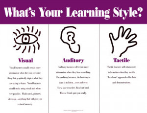 Which of the four adult learning styles are you?
