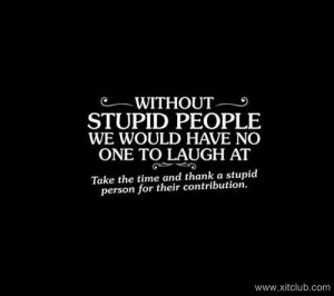 100+ Designed Quotes and Sayings 2014-being_stupid-wallpaper-9971242 ...