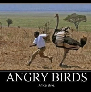 Angry Birds