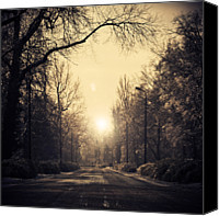 Canvas Prints The Road Goes