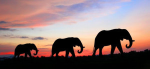 ... conscious choice brings one to aspire to lead.