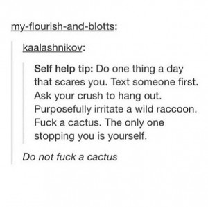 black, bro, cactus, colour, cute, funny, funny quotes, girl, hipster ...