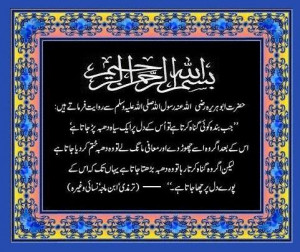 Irshad-ul-Islam
