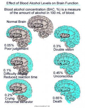 Teen Alcohol Effects On Brain