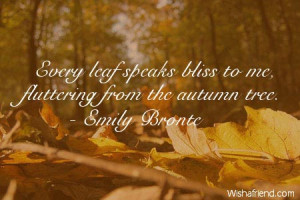 autumn-Every leaf speaks bliss to me, fluttering from the autumn tree.