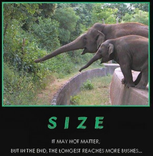 Size Really Does Matter funny image