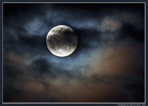 Funny Quotes Contact Us DMCA Notice