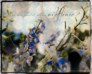 Do you suppose she’s a wildflower?” -Alice In Wonderland